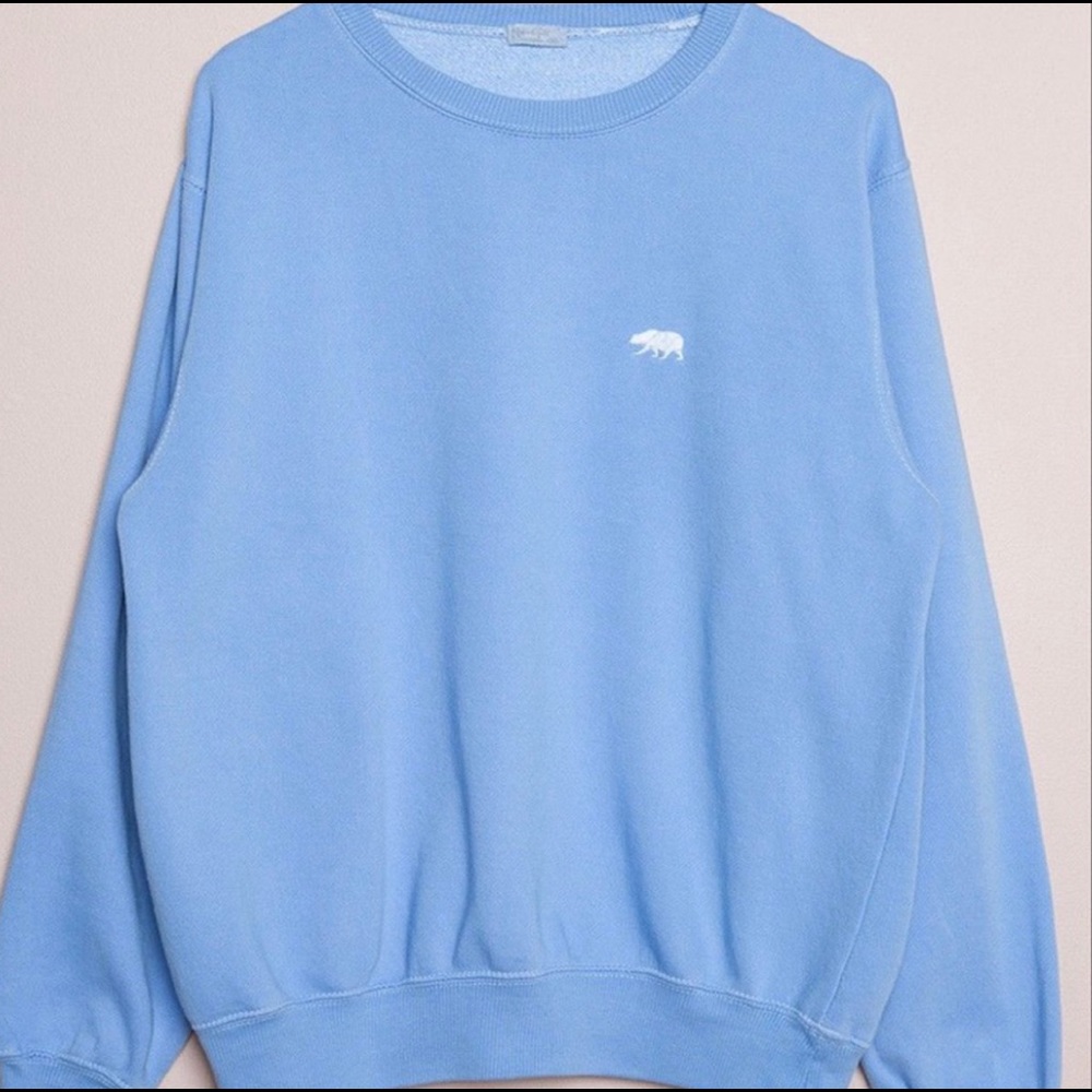 Blue brandy Melville sweater